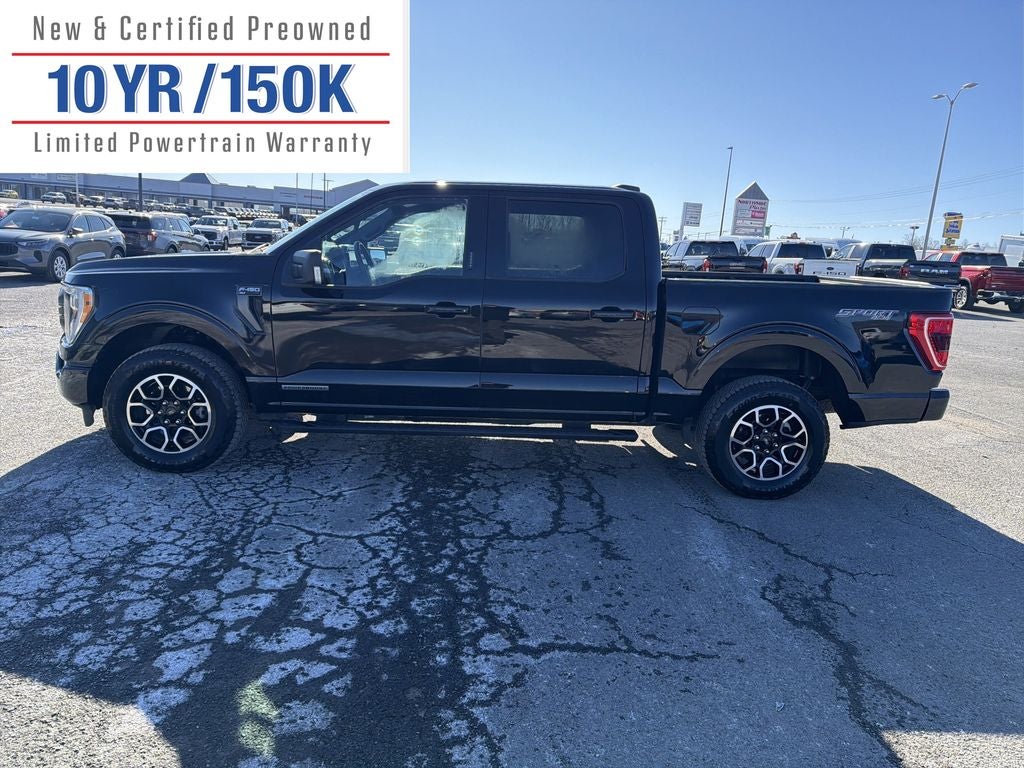 2023 Ford F-150 XLT