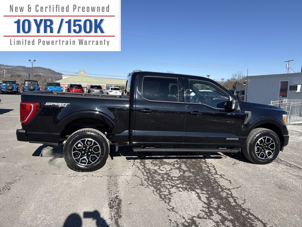 2023 Ford F-150 XLT