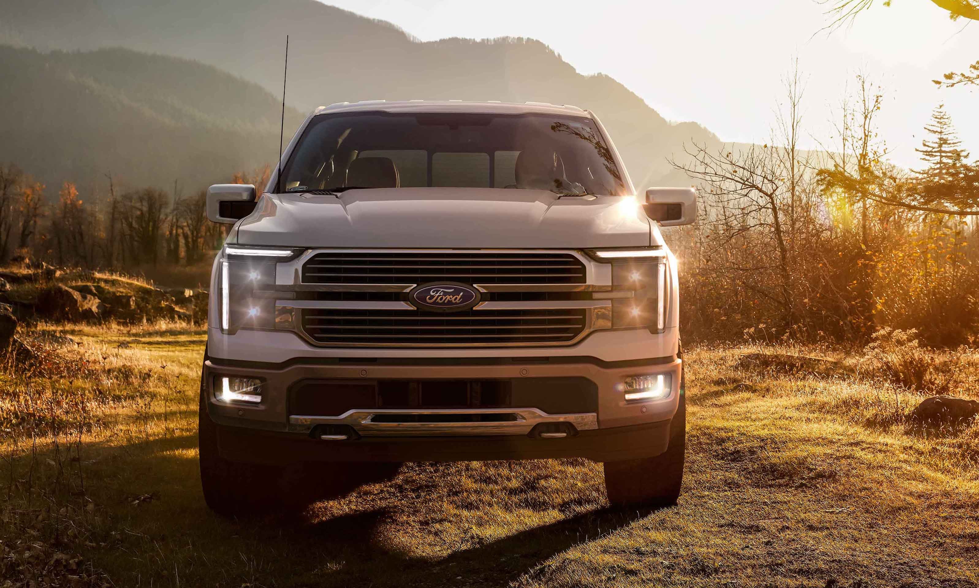 white ford truck Summersville, WV